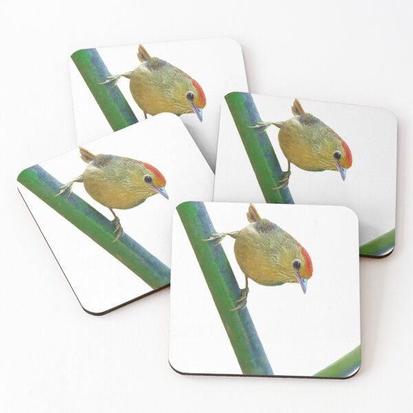 Item preview, The red-headed mountain is a small wild bird with a total length of about 11 cm. It is petite and cute designed and sold by zenger2021.