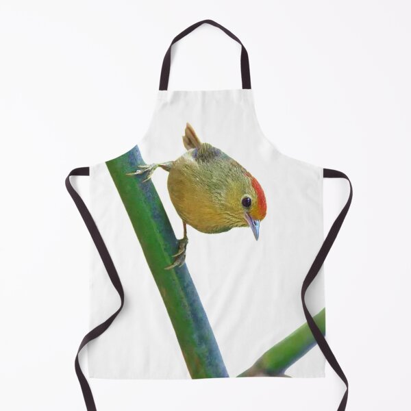 Item preview, The red-headed mountain is a small wild bird with a total length of about 11 cm. It is petite and cute designed and sold by zenger2021.