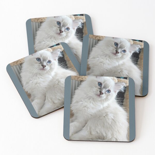 Item preview, Lynx ragdoll kitten designed and sold by Fluffycat2020.