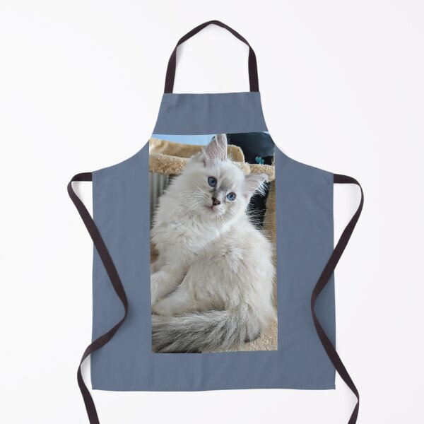Item preview, Lynx ragdoll kitten designed and sold by Fluffycat2020.