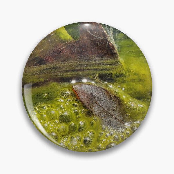 Item preview, Leaves in Algae designed and sold by Jeanne Kramer-Smyth.