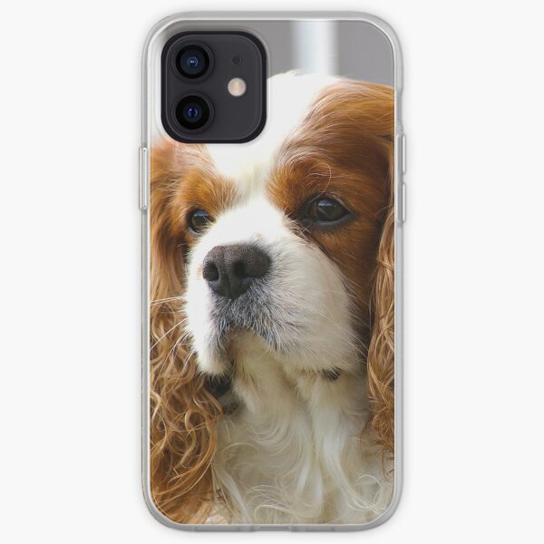 Bosse the Cavalier iPhone Soft Case