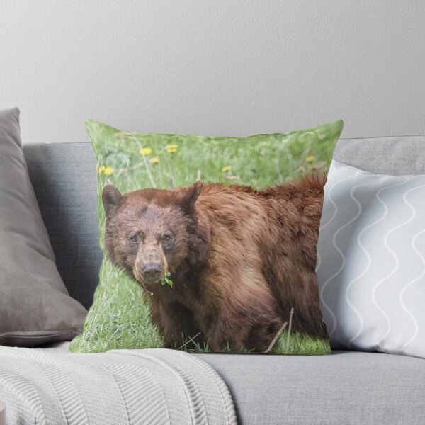 Item preview, Cinnamon bear designed and sold by Owed To Nature.
