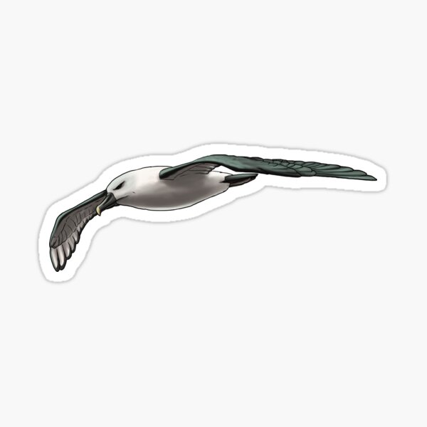 Albatross Sticker