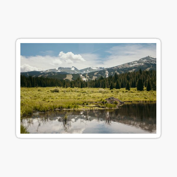 Beaver Lodge in the Rocky Mountains Sticker