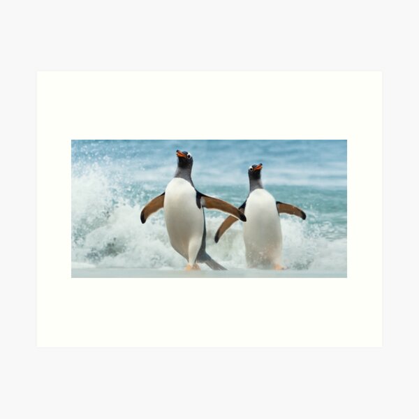 Item preview, Panoramic,widescreen prints,  Tapestries,Tapestry,throw blankets,comforters,duvet covers ,shower curtains,Penguins print,Penguin poster,Penguin  wall art,Penguin  art, ocean,bird species, designed and sold by eyesight4vision.