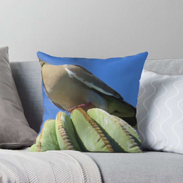 Item preview, Dove on Cactus designed and sold by Alberto  DeJesus.