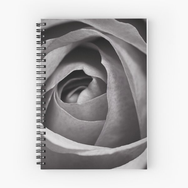 Item preview, Black and White Rose Photography designed and sold by Nature-Arts.