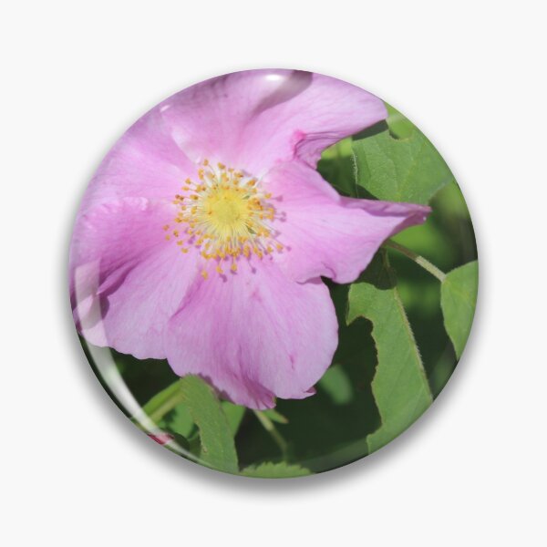 Item preview, wild rose designed and sold by ELMbytheriver.