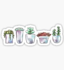 Pflanzenwelt Sticker