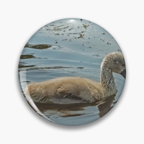 Item preview, One Day. You will be a Swan designed and sold by GingerMan2550.