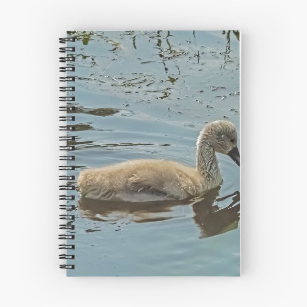 Item preview, One Day. You will be a Swan designed and sold by GingerMan2550.