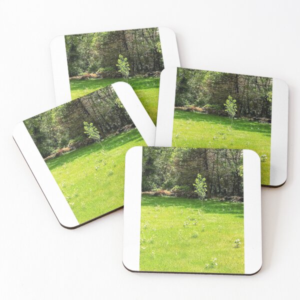 Item preview, Pilgrimage designed and sold by Leajato Robinson.