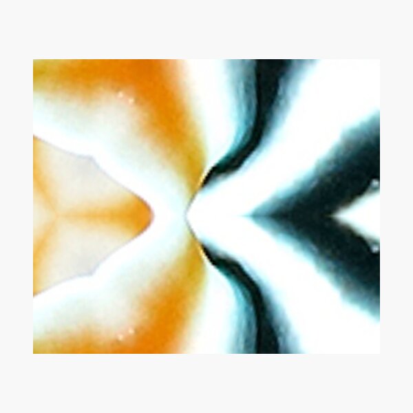 Photographic Print