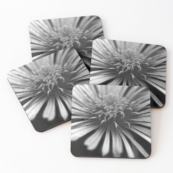 Item preview, Ice Plant in Black and White designed and sold by StampCity.