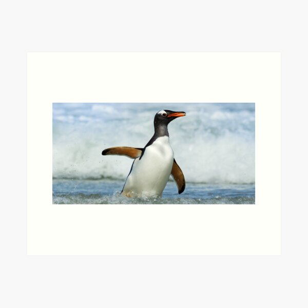 Item preview,  Panoramic,widescreen prints, Tapestries,Tapestry,throw blankets,comforters,duvet covers ,shower curtains,Penguins print,Penguin  wall art,Penguin  art, ocean,bird species, sea designed and sold by eyesight4vision.