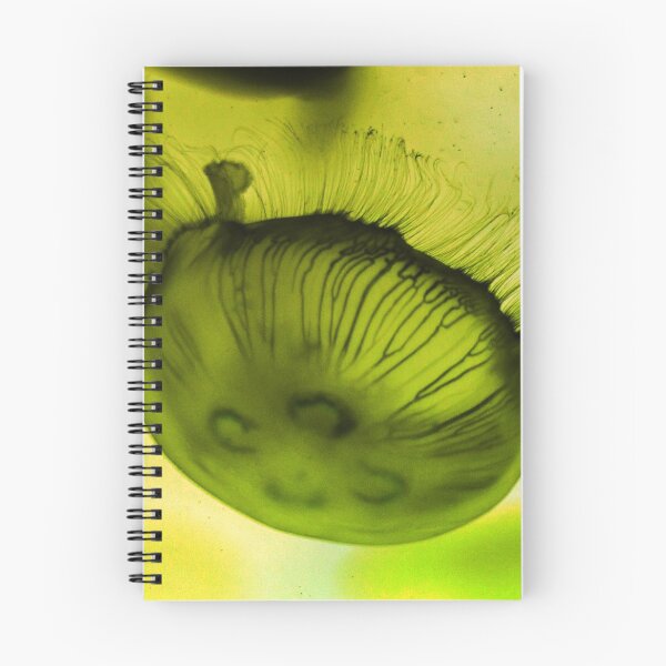 Item preview, Green sea designed and sold by Mecánica Distributiva.