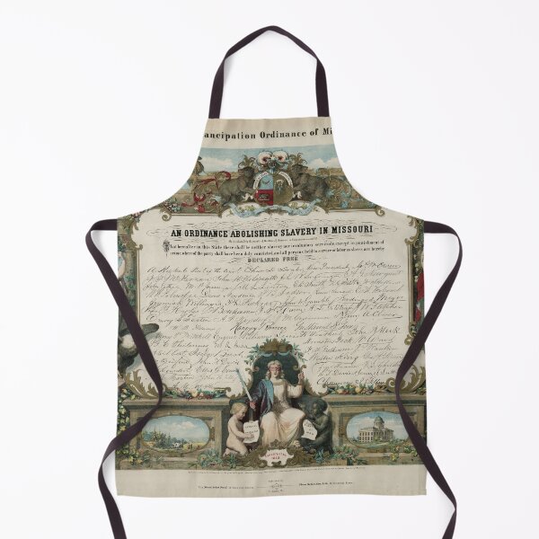 Item preview, Emancipation Ordinance of Missouri (1865) designed and sold by allhistory.