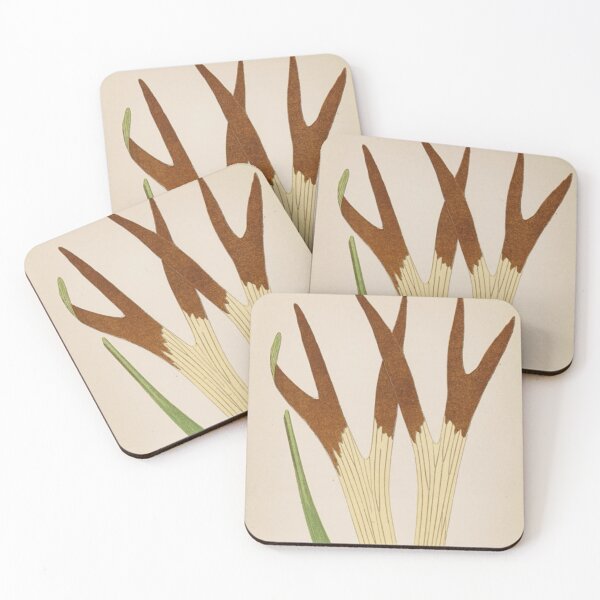 Item preview, Staghorn Fern designed and sold by BlueSpecsStudio.