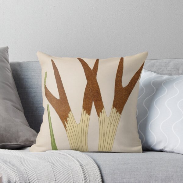 Item preview, Staghorn Fern designed and sold by BlueSpecsStudio.