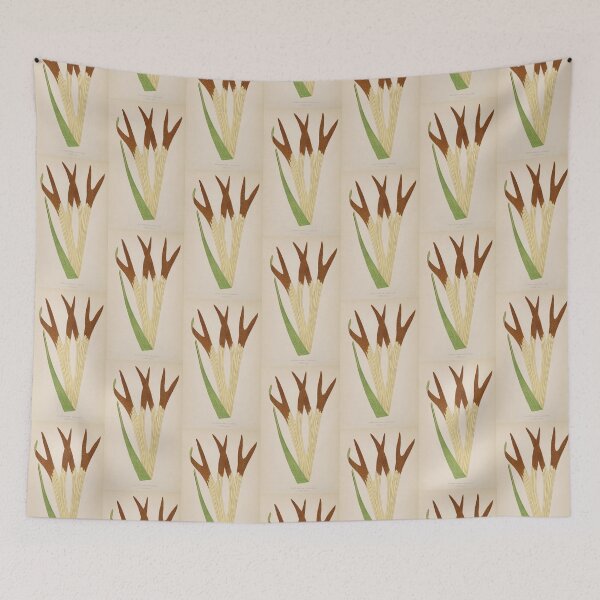 Item preview, Staghorn Fern designed and sold by BlueSpecsStudio.