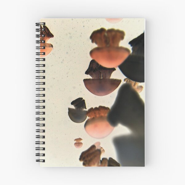 Item preview, Ocher spaces designed and sold by Mecánica Distributiva.