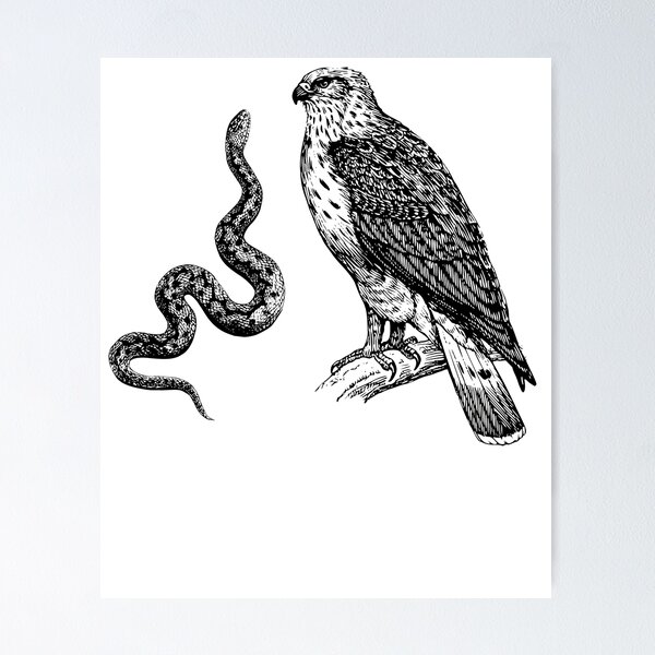 Item preview, Snake and Falcon T-shirt designed and sold by islamadil830.