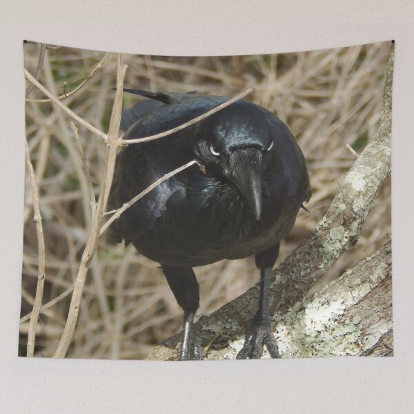 Item preview, Australian Black Raven Wild Bird designed and sold by Bennymp.