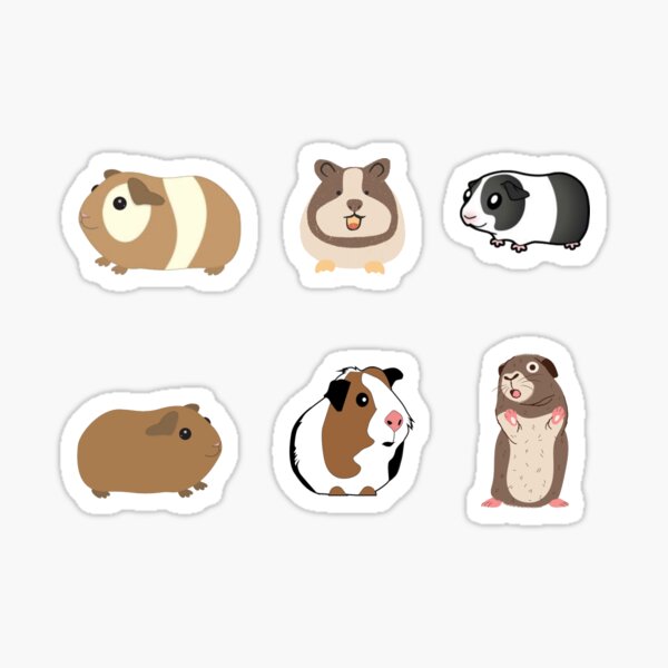 Guinea Pig Sticker Pack Sticker
