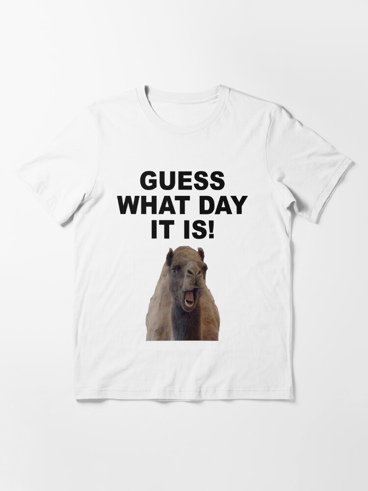 Hump Day T Shirt By Nancyanndesign Redbubble 2436