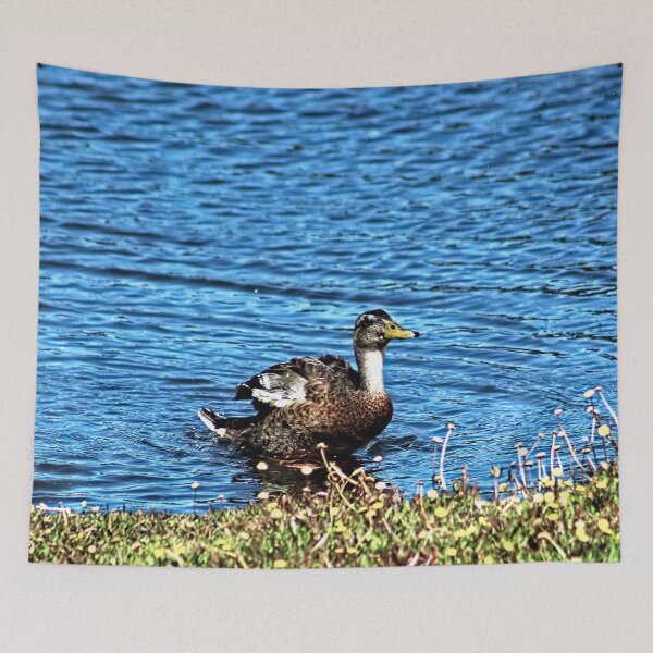 Item preview, Mallard Duck Portrait Lake Wildlife designed and sold by Anna Lemos.