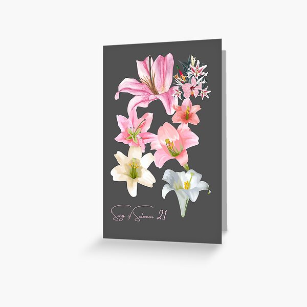 Song of Solomon 2:1 Greeting Card