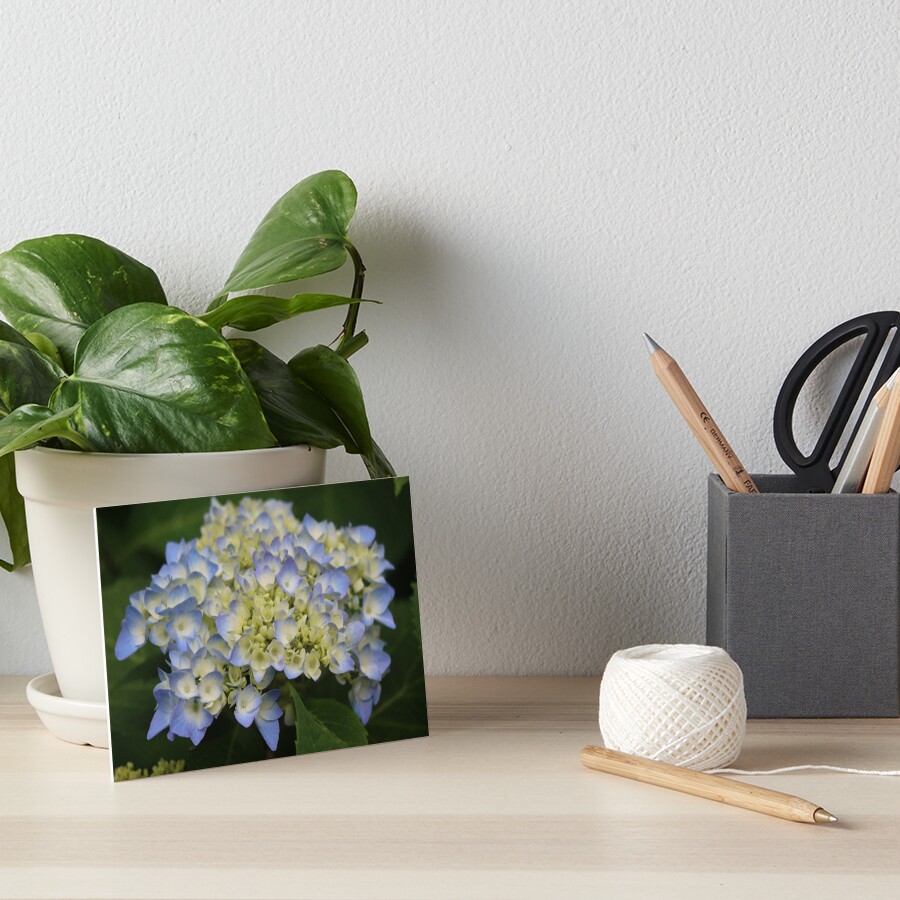Item preview, Art Board Print designed and sold by LisaNaturePhoto.