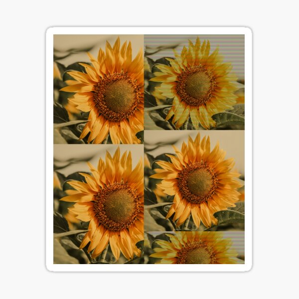 Multiple Images Sunflowers Bad TV Design Sticker