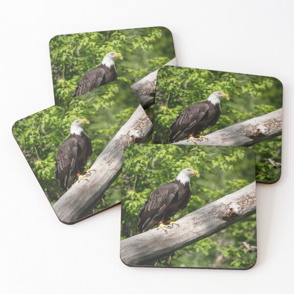 Item preview, Bald Eagle designed and sold by ColtonHamm.