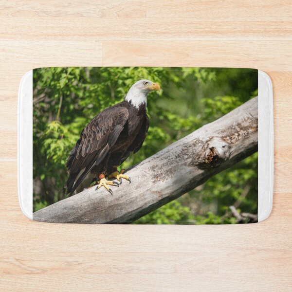 Item preview, Bald Eagle designed and sold by ColtonHamm.