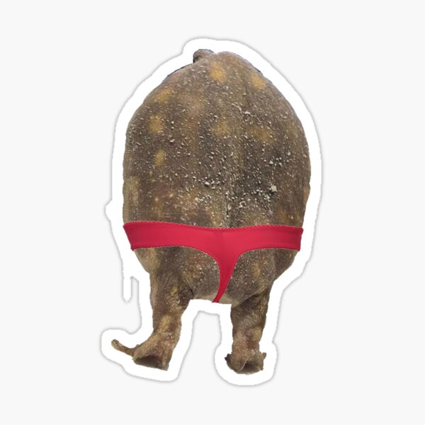 Frog Butt W Undies Sticker For Sale By Marimomo Redbubble