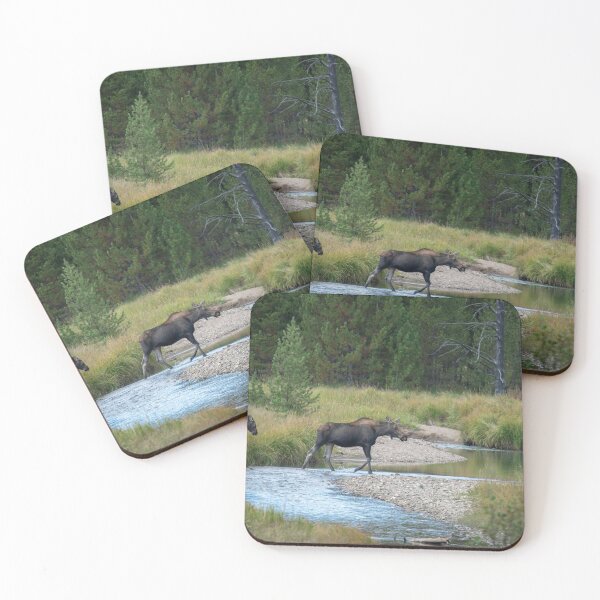 Item preview, Moose Crossing designed and sold by ColtonHamm.