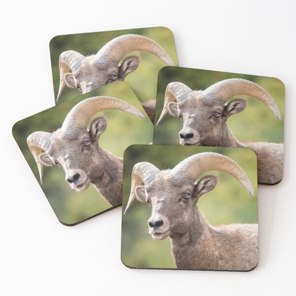 Item preview, Bighorn designed and sold by ColtonHamm.