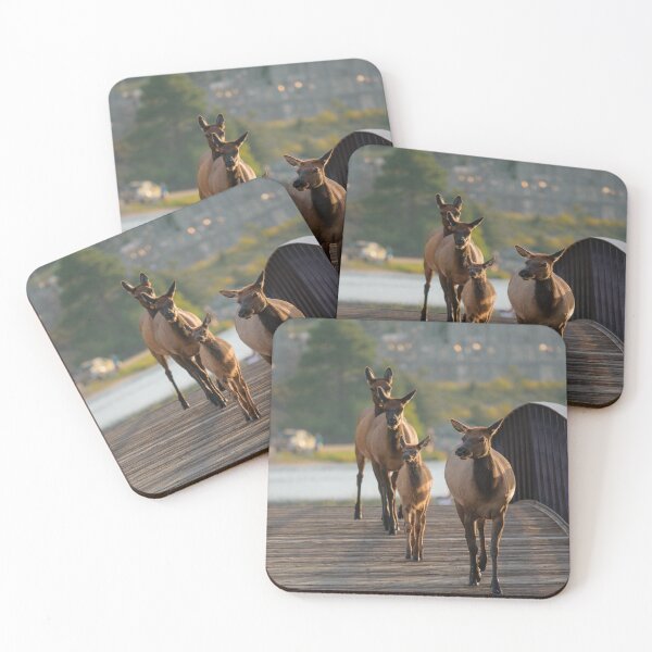 Item preview, Urban Elk designed and sold by ColtonHamm.