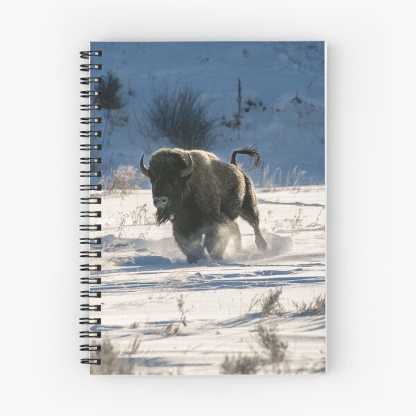 Item preview, Charging Bison designed and sold by ColtonHamm.