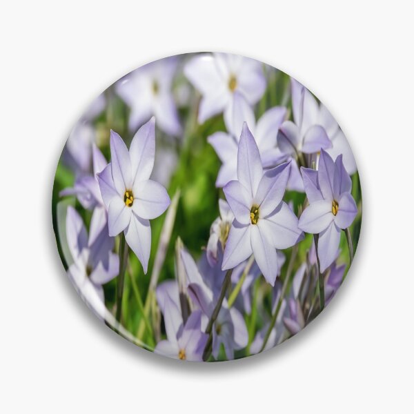 Item preview, Star Flower designed and sold by A-J-Designz.
