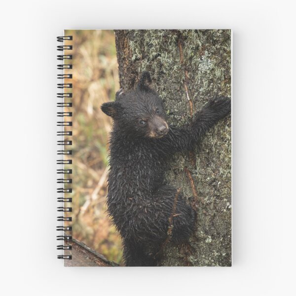 Item preview, Bear Cub Climbing designed and sold by ColtonHamm.