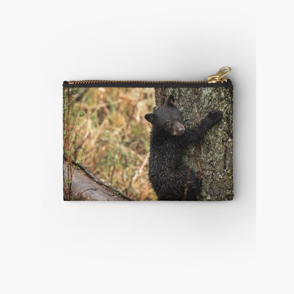 Item preview, Bear Cub Climbing designed and sold by ColtonHamm.