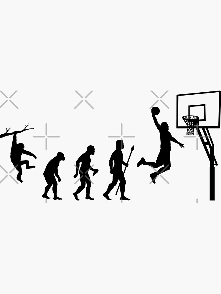 "Basketball Evolution" Sticker by BeyondEvolved Redbubble