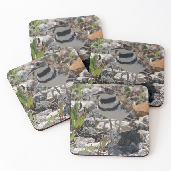 Item preview, Killdeer Was Here  designed and sold by Lanis Rossi.