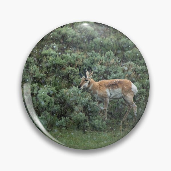 Item preview, Pronghorn designed and sold by ColtonHamm.