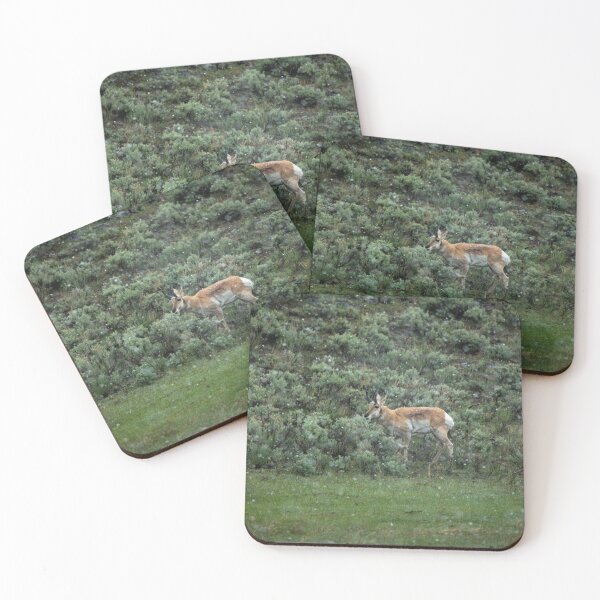 Item preview, Pronghorn designed and sold by ColtonHamm.