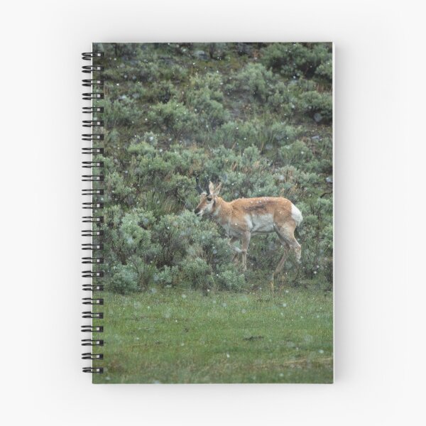 Item preview, Pronghorn designed and sold by ColtonHamm.