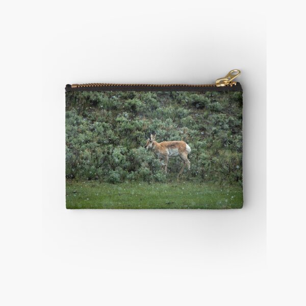 Item preview, Pronghorn designed and sold by ColtonHamm.